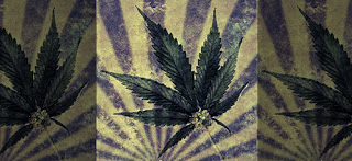 Marijuana
