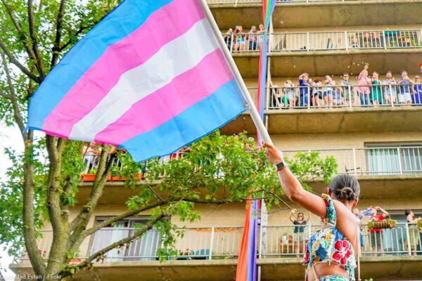 trans flag