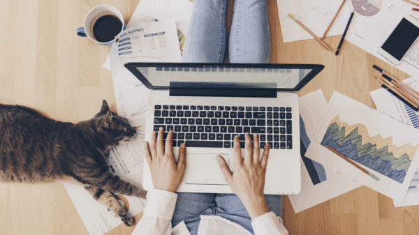 NY-Post-WFH-with-cat-no-logo