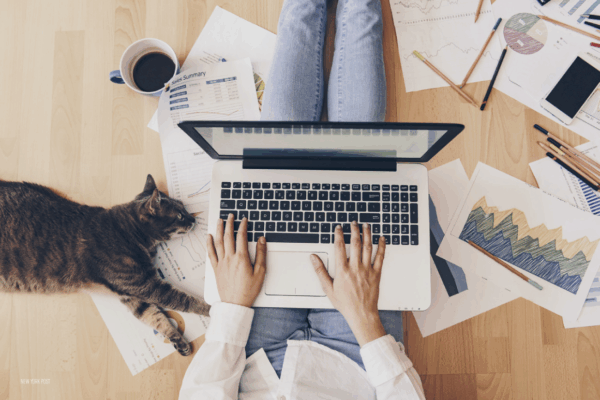 NY-Post-WFH-with-cat-no-logo