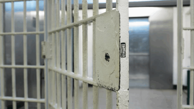 Prison bars