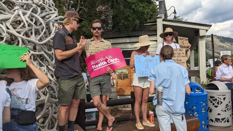 Image of a person holding a protest sign