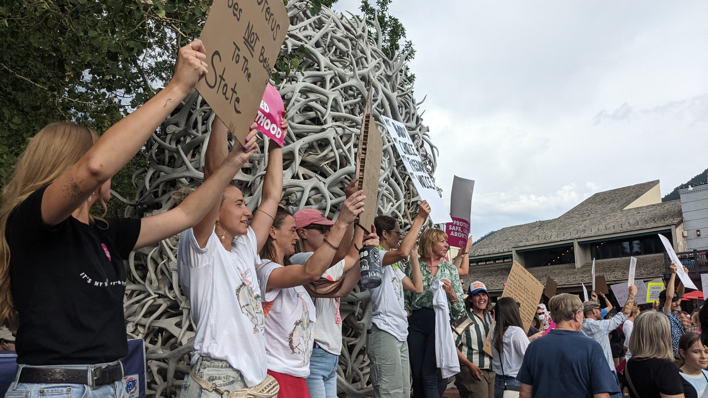 Image of people protesting in Jackson, WY