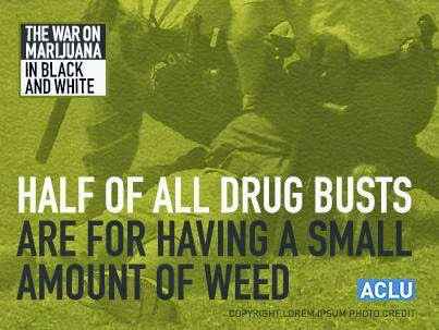 War on Marijuana in Black &amp; White