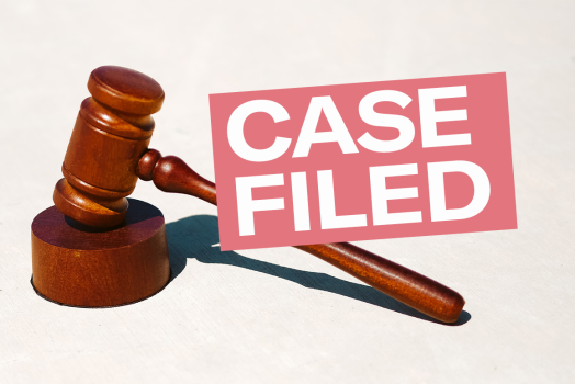 Image of gavel with the text, "CASE FILED" above it in a red box. 