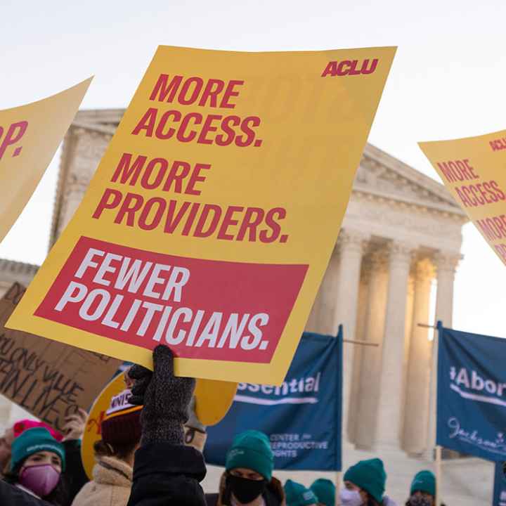 A protest sign reading “More Access. More Providers. Fewer Politicians.”