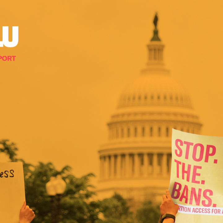 ACLU Annual Report Cover