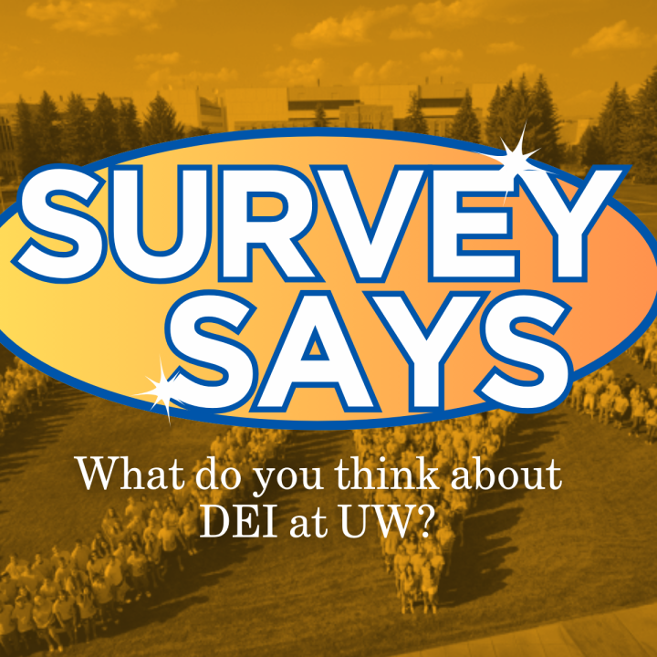survey says wy dei